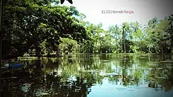 Amarandi Cove Lake