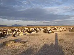 Dawn in Sikiri, Litoral Province