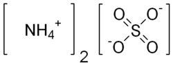 Ammonium sulfate Lewis structure