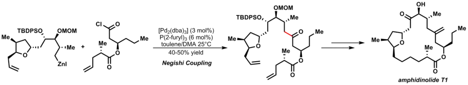 Negishi Cross coupling reaction in the total synthesis of Amphidinolide T1
