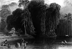 A Hindu temple and pond associated with it in Kerala.