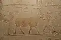 Reliefs of wildlife offerings from Akhethetep's chapel tomb