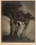 The Heart of the Storm, 1914