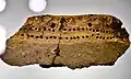 Horgen culture, fragment of ceramics