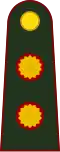 General de brigada (Argentine Army)[9]