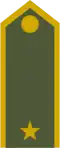 Major (Slovak Ground Forces)[78]