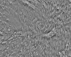 Arsia Mons and its surroundings in a THEMIS daytime infrared image mosaic. A huge fan-shaped expanse of knobby deposits (the Arsia Sulci), believed left by past glaciation, extends northwestward from the mountain.