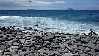 Beach in North Seymour Island, Galápagos