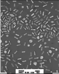 A greyscale electron micrograph of nanoparticles of different sizes and shapes