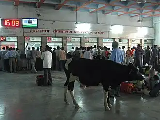 Ticket counters in the old station building before modernisation.