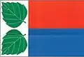 Flag of Březina