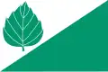 Flag of Březina