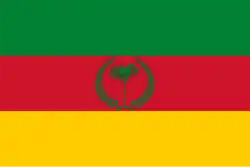 Flag of San Juan de Colón