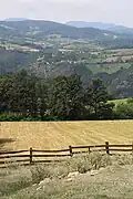 Bačevci - panorama