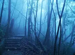 Ba Vì National Park, a few of the cloud shrouded 1,320 steps up King High Peak to the Ho Chi Minh Temple