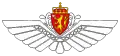Air Force pilots