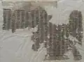 Chinese printed Buddhist sutra