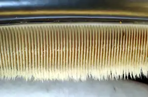 Photo displaying dozens of baleen plates. The plates face each other, and are evenly spaced at approximately 0.25 inches (1&nbsp;cm) intervals. The plates are attached to the jaw at the top, and have hairs at the bottom end.