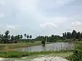 Countryside, Ban Klang