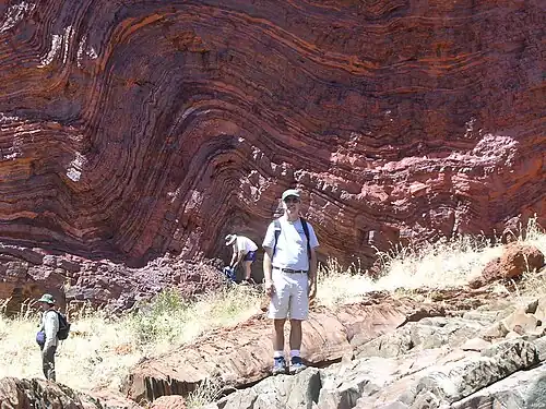 Geologist standing in front of folded layers of banded iron formation of Hamersley Range