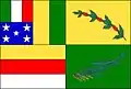 Flag of Nova Veneza