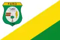 Flag of Faro, Pará