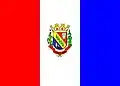 Flag of Telêmaco Borba