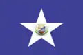 Flag of Minaçu