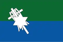 Flag of San Joaquín