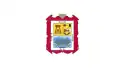 Flag of Torreón, Coahuila