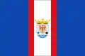 Flag of Val de San Vicente