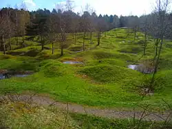 Part of the Verdun battlefield in 2005 showing the legacy of artillery bombardment