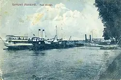 Shipping station in Baziaș (postcard from Austro-Hungarian times)