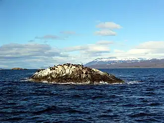 Sea Lions Island or La Isla de Los Lobos