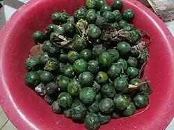 fruit