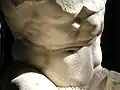 Belvedere Torso detail, abdomen