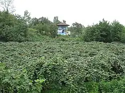 Bibalan Kiwi Garden
