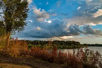 Lake near Cedar Rapids