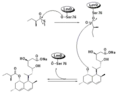 Biosynthesis using broadly specific acyltransferase