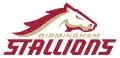 Birmingham Stallions logo