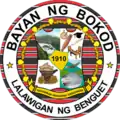 Official seal of Bokod