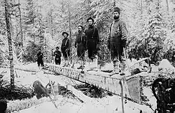 Booth lumber camp, Aylen Lake, Ontario, c. 1895