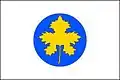 Flag of Boršice