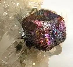 A specimen consisting of a bornite-coated chalcopyrite crystal nestled in a bed of clear quartz crystals and lustrous pyrite crystals. The bornite-coated crystal is up to 1.5&nbsp;cm across.
