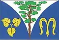 Flag of Borovná