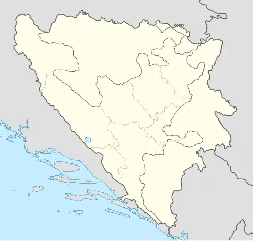Musala camp is located in Bosnia and Herzegovina