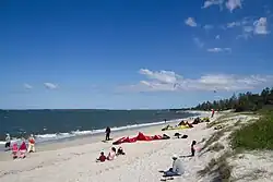 Lady Robinsons Beach