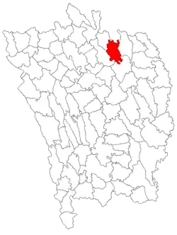 Location in Vaslui County