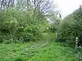 Brampton Wood