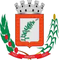 Official seal of Andirá